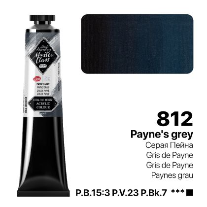 ПРО АКРИЛ MASTER CLASS 46мл. - №812 Payne's Gray