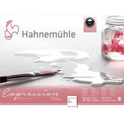 100% COTTON Sketchbook HAHNEMUHLE HARMONY 24/30 cm., 300 gr., 20 sheets