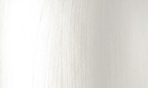 Decor-acryl 50ml. - Platinum white 020