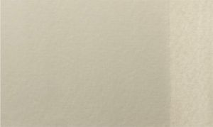 Gouache 50ml. - Neutral Grey 281