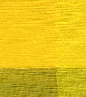 MASTER CLASS PRO ACRYLIC 46ml. - No.201 Cadmium Yellow Medium