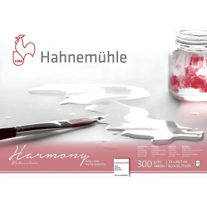 Скицник HAHNEMUHLE HARMONY A4, 300 гр., 12 листа