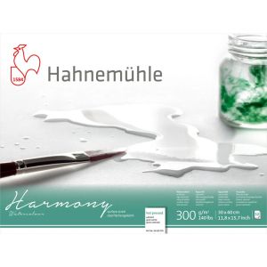 Скицник HAHNEMUHLE HARMONY SATINIERT 30/40СМ, 300ГР, 12Л.