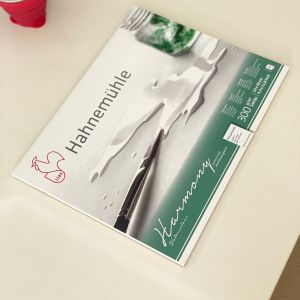 Скицник HAHNEMUHLE HARMONY А3 формат, 300ГР, 12Л.