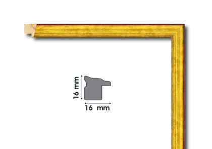 Frame moulding - E1681