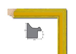 Frame moulding - E2311