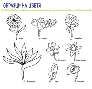 The Hidden Language of Flowers